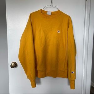 Champion Sweater